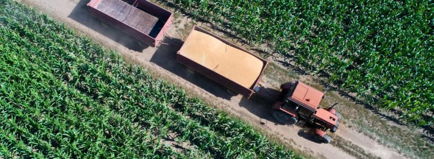 Prodaja repromateriala, kmetijska zadruga Prekmurje, Pomurje