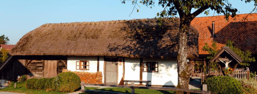 Organizacija teambuildingov Dolenjska