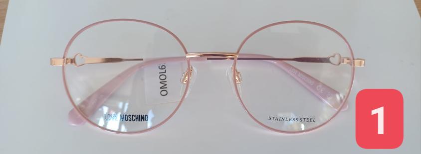 Optika Frida Oplotnica