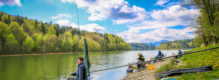 Ribiška družina Savinjska