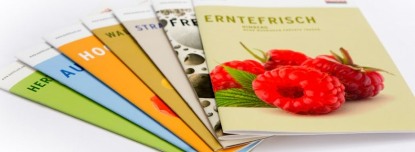 Kvaliteten tisk katalogov, brošur Slovenija