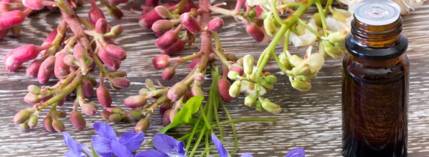 Bachove kapljice, pomoč z energijo svetlobe Slovenija