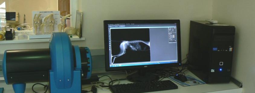 Veterinarska postaja Pomurje