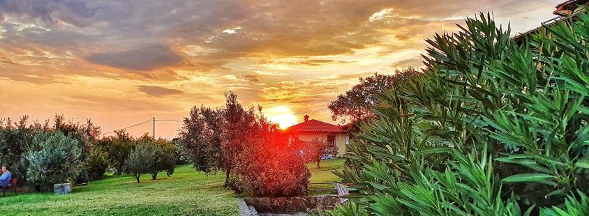 Nočitve v hostlu Obala