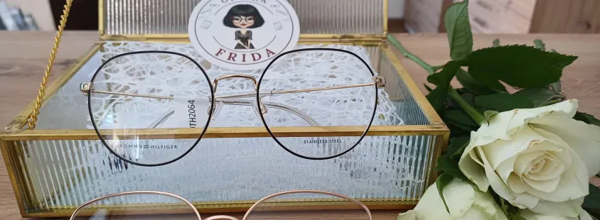 Kontrola vida in optika Oplotnica, Podravje