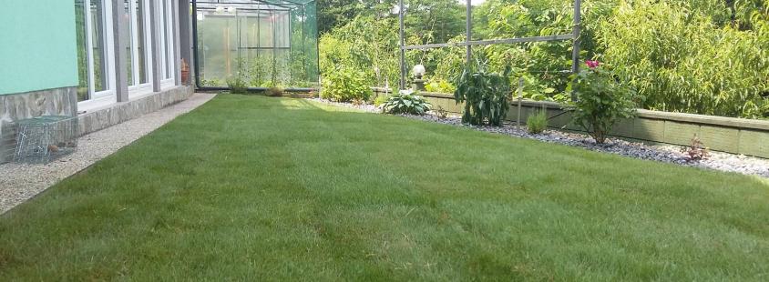 Montaža namakalnega sistema Štajerska