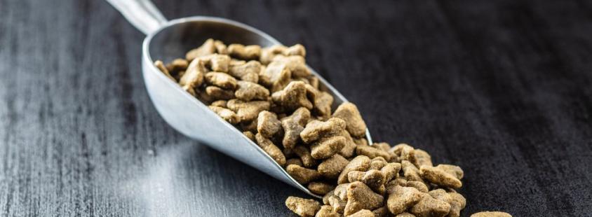 Naravna in zdrava hrana za pse in macke Slovenija