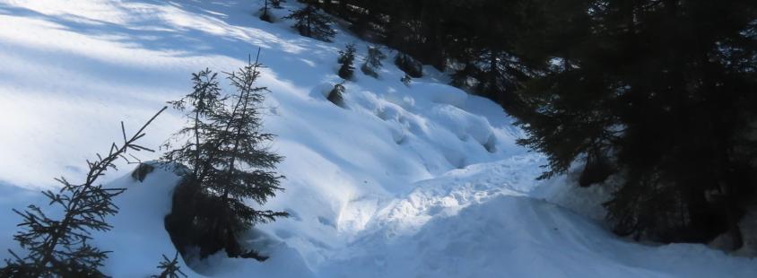 Obisk koče na Črni prsti Goriška, Slovenija