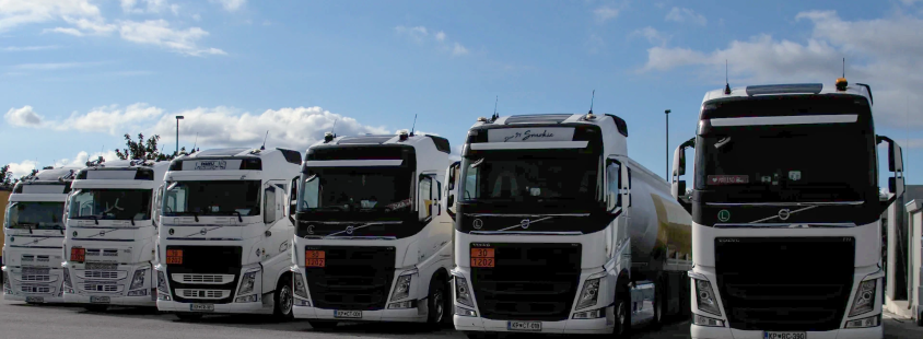 Transport in prodaja naftnih derivatov Slovenija, Italija