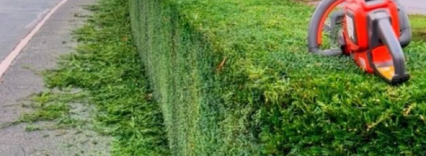 Odvoz razsutega tovora s prikolico Murska Sobota