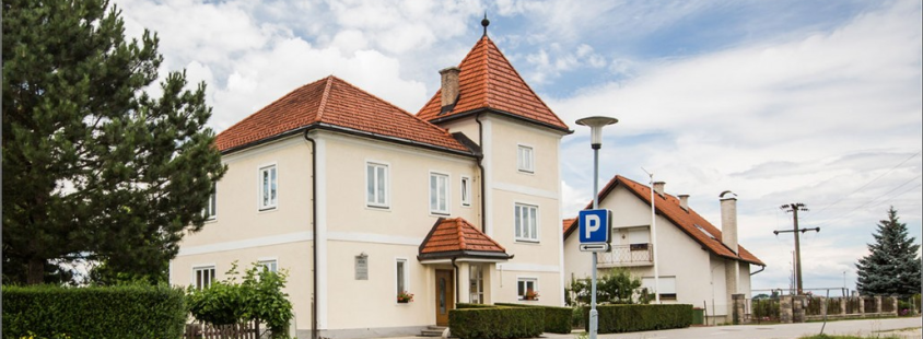 Samoplačniški zobozdravstveni zavod Ptuj, Štajerska