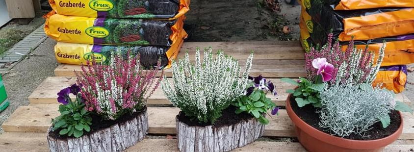 Okrasna drevesnica Ljubljana, Osrednja Slovenija