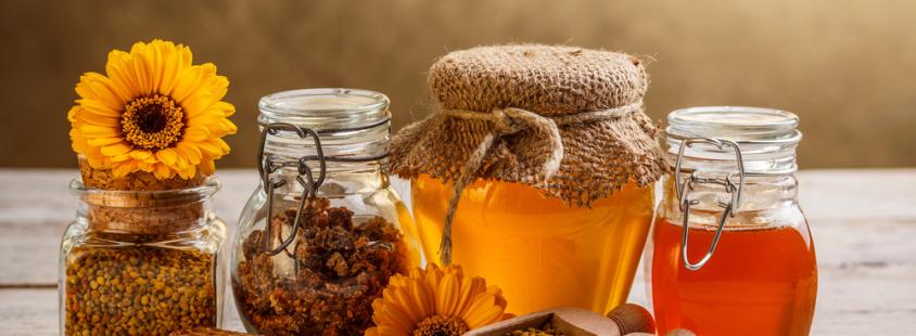 Apiturizem Top Bee Slovenija