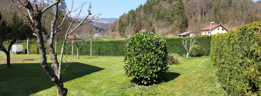 Košnja trave in obrezovanje živih mej Zasavje, Posavje