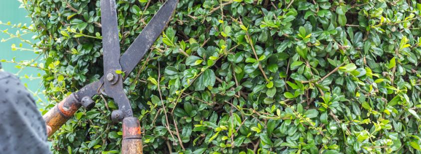 Nizke gradnje in urejanje okolice Pomurje