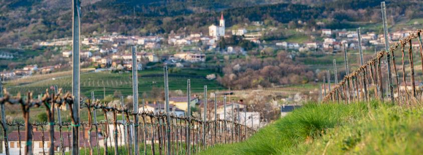Apartmaji in sobe Vipava