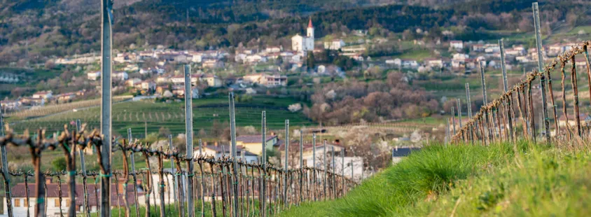 Apartmaji in sobe Vipava