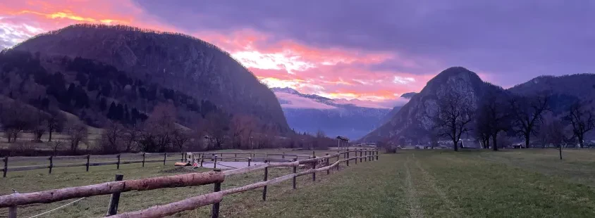 Terapija in delavnica za konje Slovenija