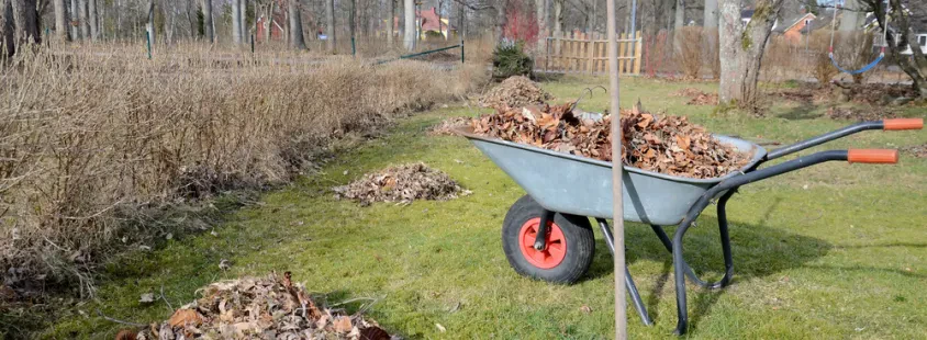Košnja trave in vzdrževanje okolice Štajerska, Savinjska