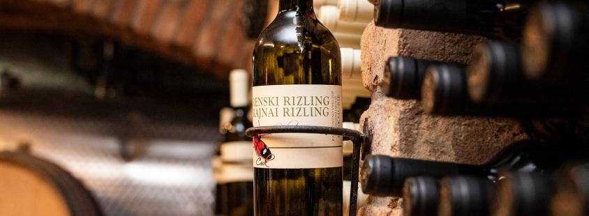 Degustacije vina Lendava, Prekmurje
