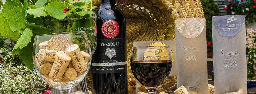 Degustacije vin in prostor za zaključne družbe Goriška