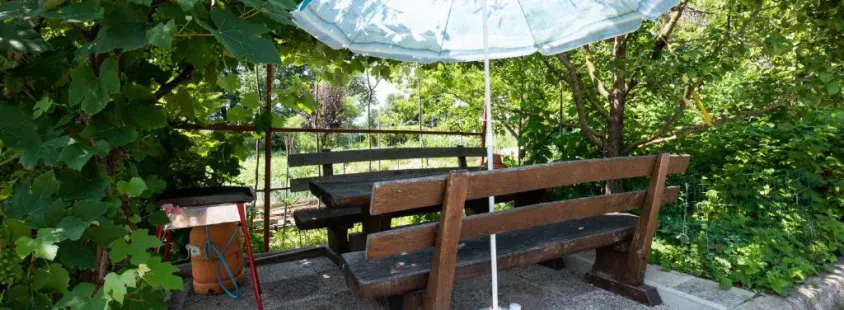 Družinski apartma z vrtom Žirovnica