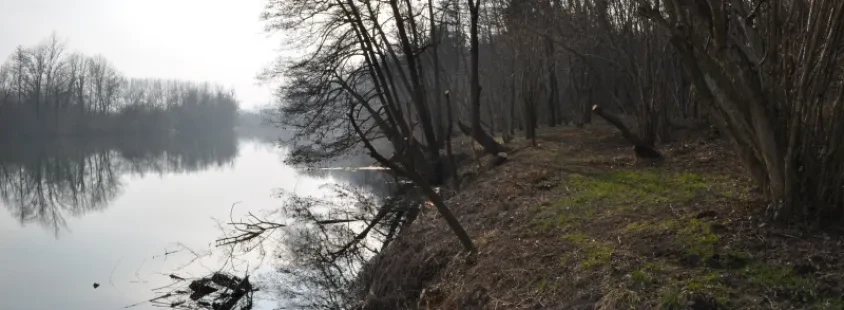 Ribiška družina Metlika, Bela krajina