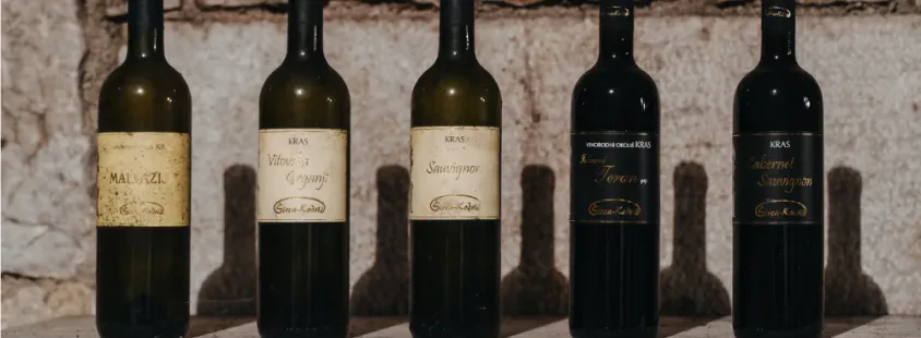 Degustacije vin Dutovlje, Sežana