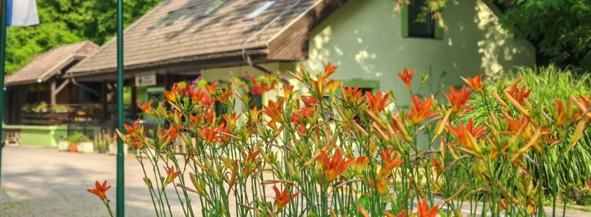 Dobra gostilna Koroška