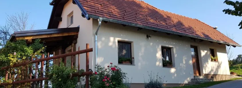 Družinski apartma Ptuj z okolico, Videm