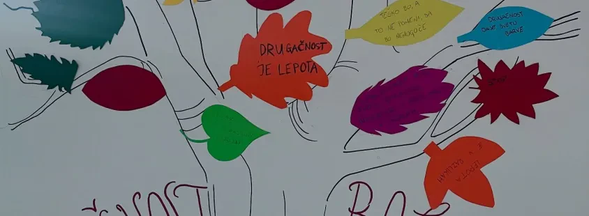 Dober dijaški dom v Ljubljani