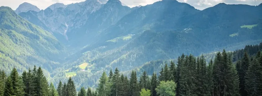Družinski apartma Raduha, okolica, Logarska Dolina, Luče