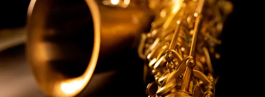 Nastop pihalnega orkestra Prekmurje