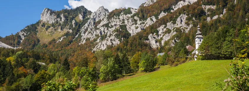 Šoferske storitve Kobarid, Goriška