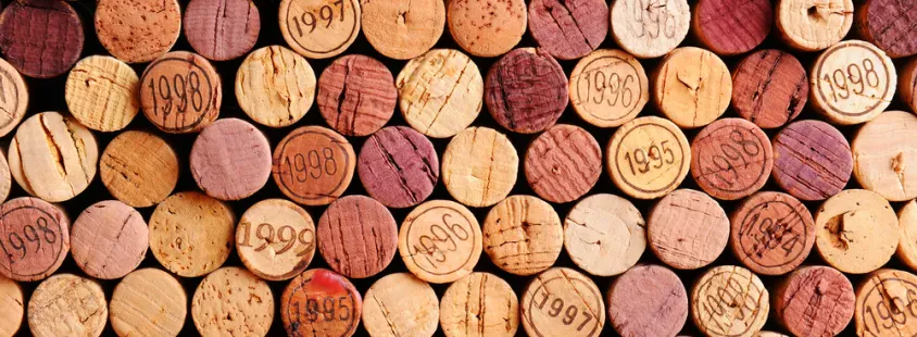 Degustacija vin, vinogradniška kmetija Podlehnik, Haloze