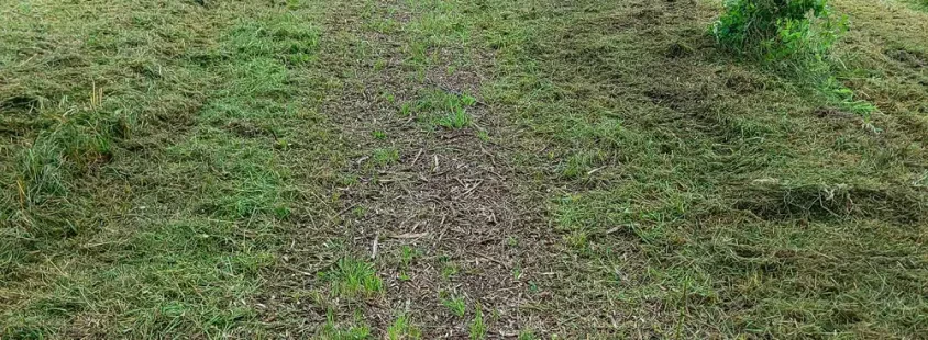 Mulčanje in urejanje okolice Sežana, Primorska