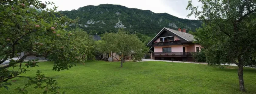 Dober apartma za najem Žirovnica