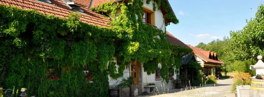 Jahanje konj na turistični kmetiji Osrednja Slovenija