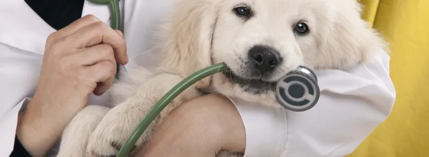 Veterinarska ambulanta Posavje, Hrvaška