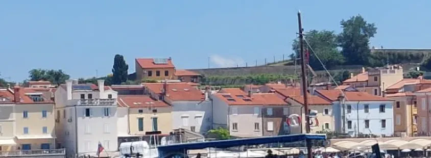 Panoramske vožnje z ladjo, ribji piknik