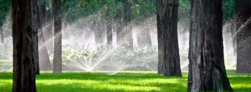 Svetovanja na področju arboristike v urbanih območjih Dolenjska, Slovenija