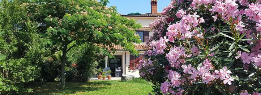 Ugodni apartmaji Strunjan