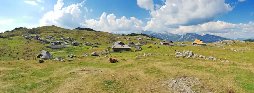 Družinska koča za v najem Mala Planina