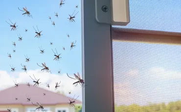 Stavbno pohištvo, ki ustvarja popoln dom