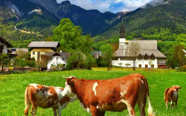 Turistične kmetije, pobeg v mir podeželja