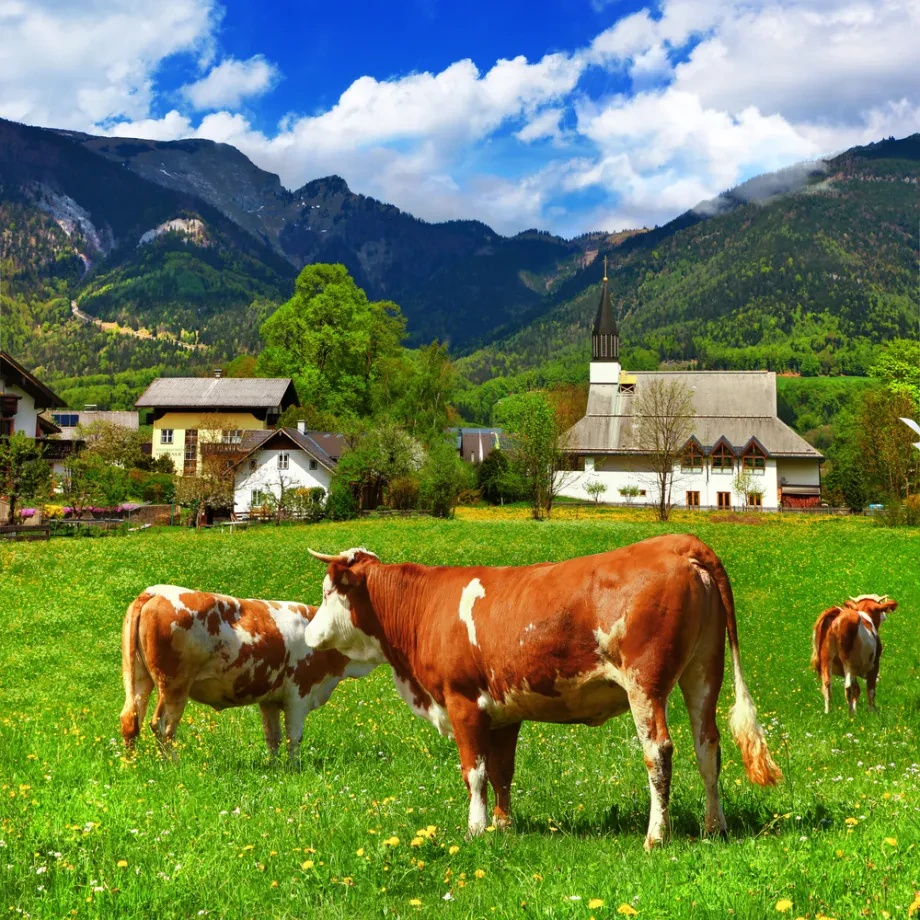Turistične kmetije, pobeg v mir podeželja