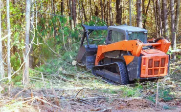 Mulčenje prinaša najhitrejšo rešitev za zaraščene površine
