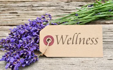 Wellness Spa, sprostitev, ki obnavlja telo, um in duha