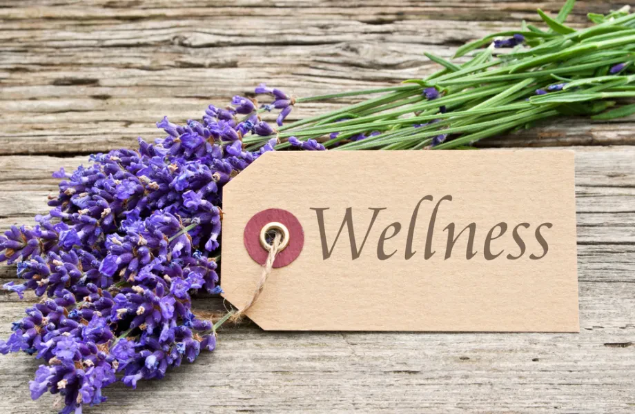 Wellness Spa, sprostitev, ki obnavlja telo, um in duha